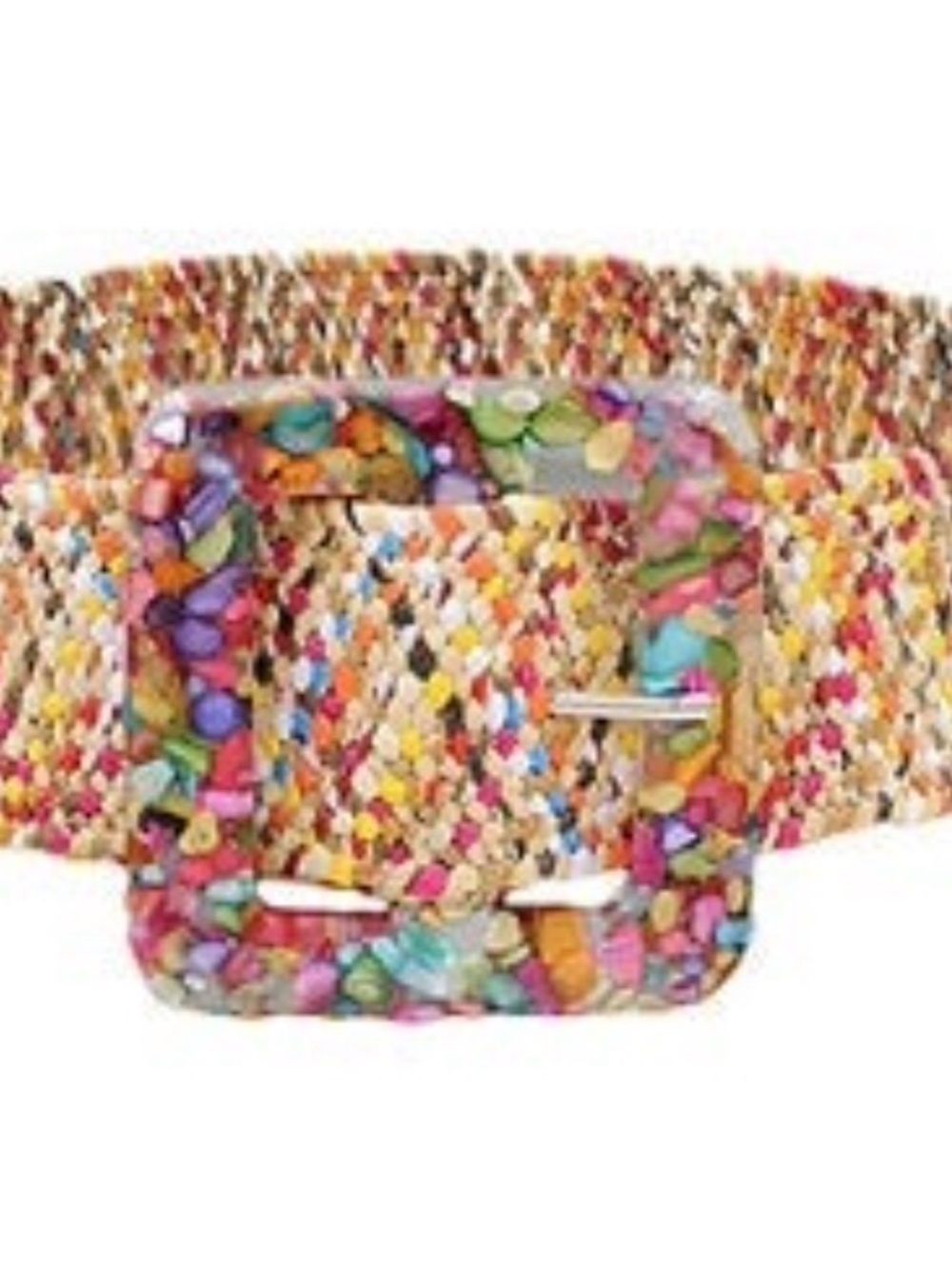 Woven Multicolor Braided Belt with Decorative Buckle